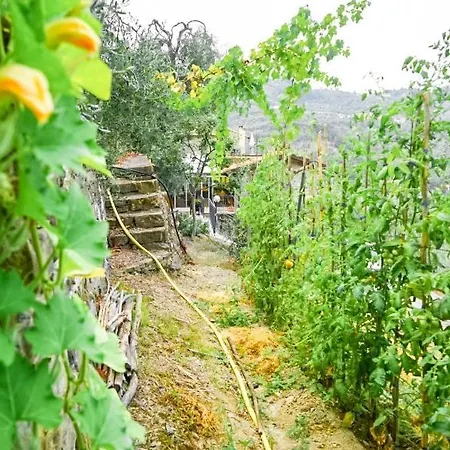 Agriturismo La Cicala